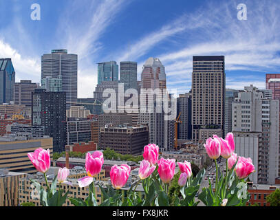 Spring in Montreal Stock Photo