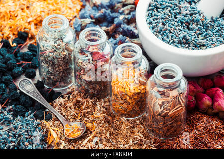 Bottles of healing herbs and mortar with lavender flowers, herbal medicine. Retro styled. Stock Photo