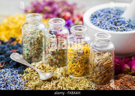 Bottles of healing herbs and mortar with dry lavender flowers, herbal medicine. Stock Photo