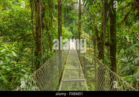 Suspended bridge at natural rainforest park, Costa Rica Stock Photo