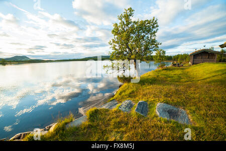 Sunrise On Water With Reflecting Log Beaver Mines Lake Provincial
