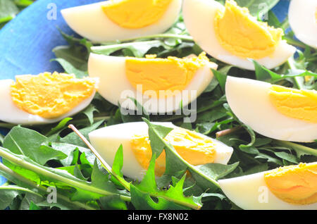 boiled eggs with green dundelion leaves Stock Photo