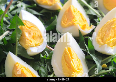 boiled eggs with green dandelion leaves Stock Photo