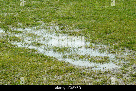Puddles in a flooded field of grass after heavy rain. Stock Photo