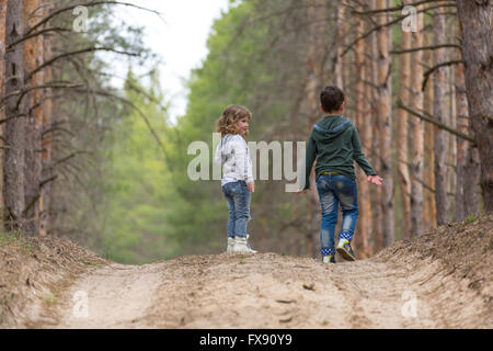 Children walking together in a pine forest Stock Photo