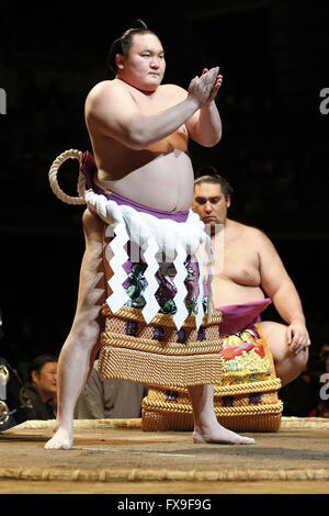 Kawasaki, Japan. 13th Apr, 2016. Hakuho Sumo : 1st Grand Sumo Tournament Kawasaki Furusato Basho in Kawasaki, Japan . Credit:  Sho Tamura/AFLO SPORT/Alamy Live News Stock Photo