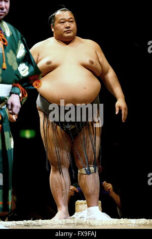 Kawasaki, Japan. 13th Apr, 2016. Toyonoshima Sumo : 1st Grand Sumo Tournament Kawasaki Furusato Basho in Kawasaki, Japan . Credit:  Sho Tamura/AFLO SPORT/Alamy Live News Stock Photo