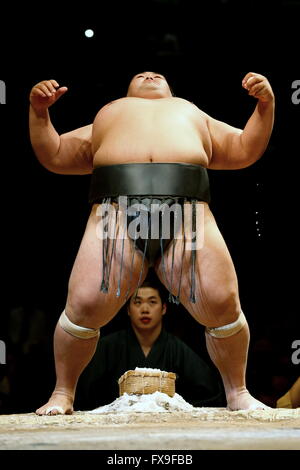 Kawasaki, Japan. 13th Apr, 2016. Kotoshogiku Sumo : 1st Grand Sumo Tournament Kawasaki Furusato Basho in Kawasaki, Japan . Credit:  Sho Tamura/AFLO SPORT/Alamy Live News Stock Photo