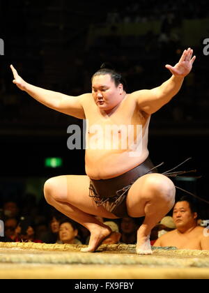 Kawasaki, Japan. 13th Apr, 2016. Hakuho Sumo : 1st Grand Sumo Tournament Kawasaki Furusato Basho in Kawasaki, Japan . Credit:  Sho Tamura/AFLO SPORT/Alamy Live News Stock Photo