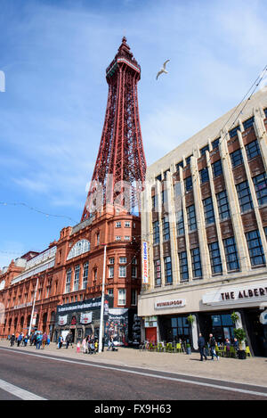 Blackpool, UK. 13th Apr, 2016. Tourism and council chiefs are celebrating the news that Blackpool Tower, situated on the seafront in Blackpool, Lancashire,  has been restored to its former glory marking the end of an 8 year restoration project.  The resort landmark has been hidden under scaffolding since 2008 as part of what was reported to have been a £6m project to repair the steel structure which had succumbed to years of exposure to wind, rain and the salt air. Credit:  Barrie Harwood/Alamy Live News Stock Photo