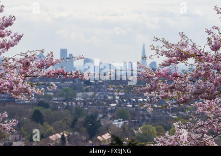 Sunny weather at Alexandra Palace, London England United Kingdom UK Stock Photo