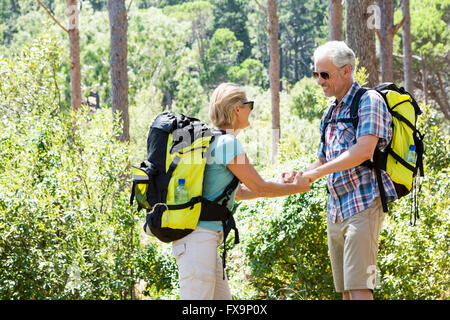 senior couple standing hand in hand Stock Photo