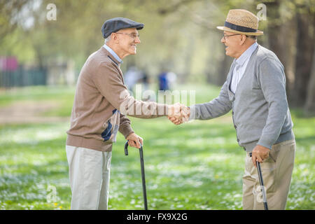 Two old friends meeting in park and shaking hands on a beautiful spring day Stock Photo