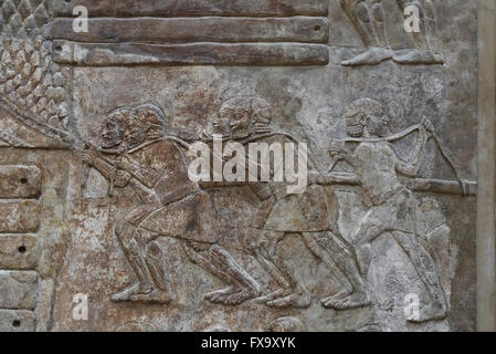 Slab. Transportation of timber (cedars of Lebanon). Men are pulling a load with a rope. Palace of Sargo II. Khorsabad, Iraq. Stock Photo