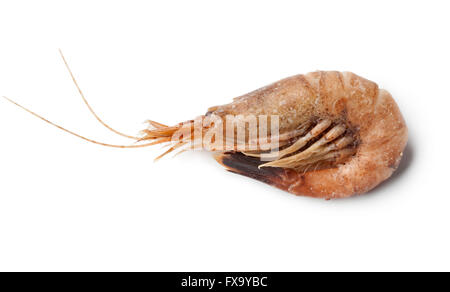 Single whole unpeeled brown shrimp on white background Stock Photo
