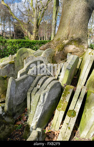 Moss-clad tombstones encircle the Hardy tree, St Pancras Old Church churchyard, London England UK Stock Photo