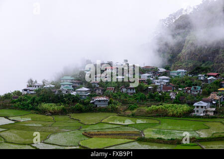 PHILIPPINES, Mountain Province, Cordilleras, rice farming on rice terrace in mountains near Sagada, village in clouds / PHILIPPINEN, Mountain Province, Cordilleras, Reisanbau und Reisfelder in Terrassen in den Bergen bei Sagada, Dorf im Nebel, in den Wolken Stock Photo