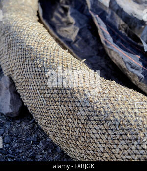 Pollution control straw filled waddle mesh tube for construction and highway roadwork Stock Photo