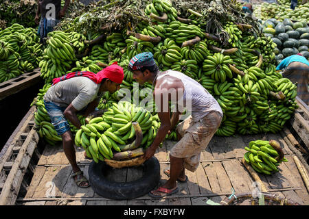 Dhaka, Bangladesh. 11th Apr, 2016. Workers are unloading banana which comes to Waiz Ghat-largest fruit market in Dhaka. © Mohammad Ponir Hossain/ZUMA Wire/Alamy Live News Stock Photo