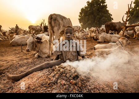 South Sudan. 23rd Feb, 2016. A young Mundari boy sits in the soft ash of a smouldering dung fire to keep warm. Ankole-Watusi, also known as Ankole Longhorn, or 'Cattle of Kings' is a 900 to 1,600 pound landrace breed of cattle originally native to Africa with distinctive horns that can reach up to 8 ft tall. © Tariq Zaidi/ZUMA Wire/ZUMAPRESS.com/Alamy Live News Stock Photo