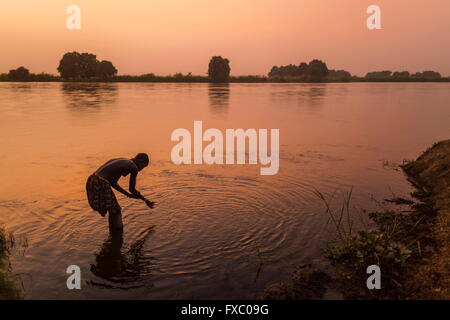 South Sudan. 23rd Feb, 2016. A Mundari tribeswoman washes herself in the Nile at sunset. Ankole-Watusi, also known as Ankole Longhorn, or 'Cattle of Kings' is a 900 to 1,600 pound landrace breed of cattle originally native to Africa with distinctive horns that can reach up to 8 ft tall. © Tariq Zaidi/ZUMA Wire/ZUMAPRESS.com/Alamy Live News Stock Photo