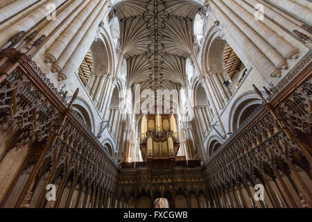 Norwich Cathedral choir and organ, Norwich, Norfolk, England, UK Stock Photo