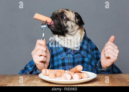 Man with pug dog head in checkered shirt eating sausages over grey background Stock Photo
