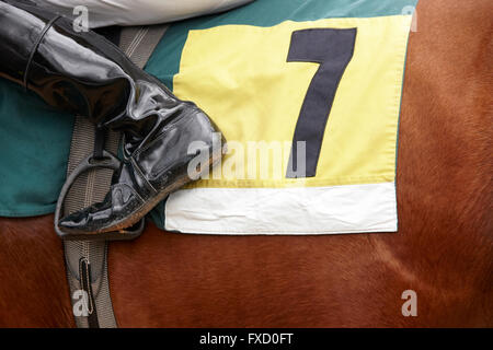 Jockey boot detail and race horse. Horizontal Stock Photo