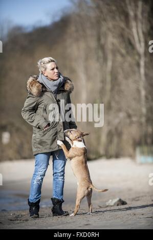 Woman with Miniature Bull Terrier Stock Photo
