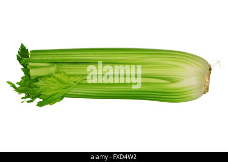 Fresh green celery isolated on white background Stock Photo