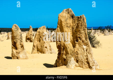 The Pinnacles limestone formations within Nambung National Park, Western Australia North of Perth Stock Photo
