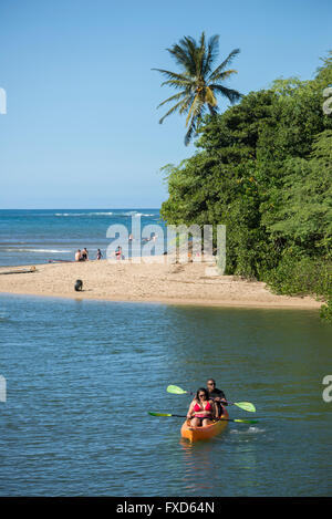 USA, Hawaii, Oahu, North Shore, Haleiwa, Anahulu stream Stock Photo