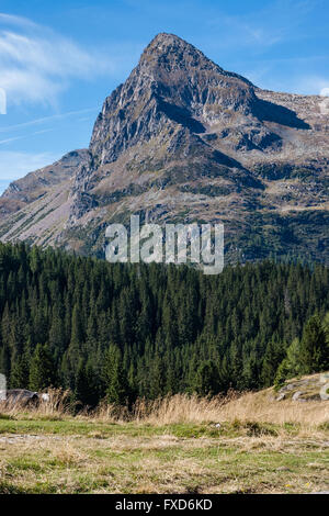 View from Passo Rolle Stock Photo