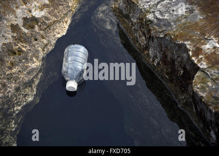 Discarded empty plastic water bottle floating in lake water between rocks.