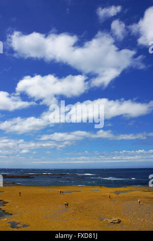 White cloud background, ocean and blue sky, with people exploring in a coastal environment. Captured in Victoria, Australia. Stock Photo