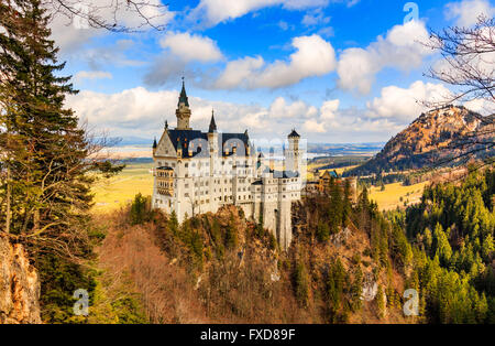 Neuschwanstein Castle in winter landscape, Fussen, Germany Stock Photo