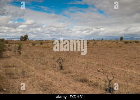 Field in the autumn. Just several argan bushes and trees. Mountains in the background. Stormy cloudy sky. Stock Photo
