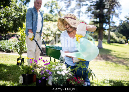 Senior woman watering flower plant in the park Stock Photo