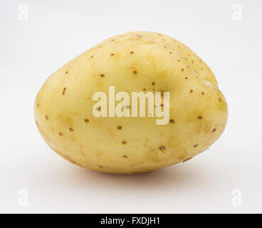 One young potatoe isolated on white background Stock Photo - Alamy