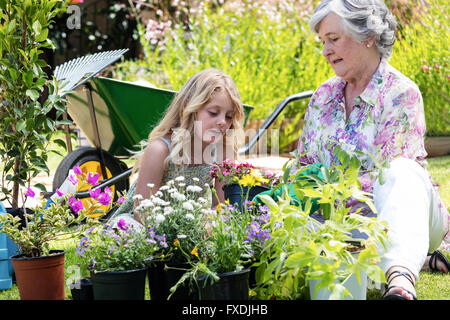 Grandmother and granddaughter gardening together Stock Photo