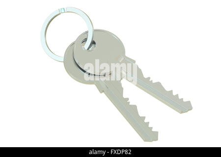 Two keys on a keyring, 3D rendering isolated on white background Stock Photo