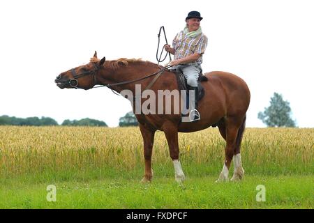 Peleton man on horse on verge of field following 2014 tour de france uk Roxwell Stock Photo