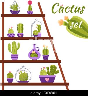 Cactus Shelf Illustration Stock Vector