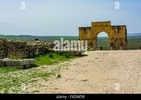 the main street - The Decumanus Maximus - In the background the Arch of Caracalla. Volubilis, remains of Roman city near Meknes. Stock Photo