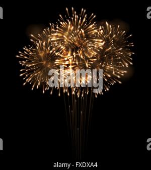 Realistic Fireworks Exploding in the Night Sky Stock Vector
