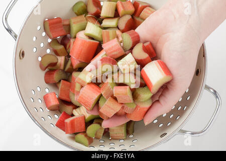 Rhubarb in a colander with a hand holding some Stock Photo