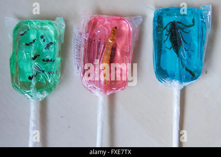 lollypop with insects inside Stock Photo