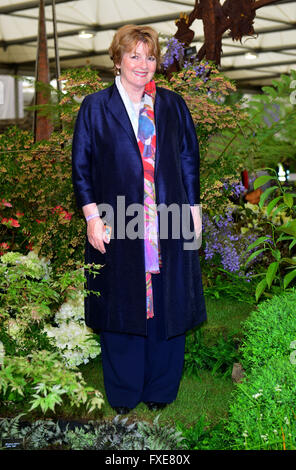 Brenda Blethyn at the 2015 RHS Chelsea Flower Show  at the Royal Hospital Chelsea in London, Stock Photo