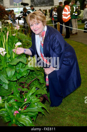 Brenda Blethyn at the 2015 RHS Chelsea Flower Show  at the Royal Hospital Chelsea in London, Stock Photo