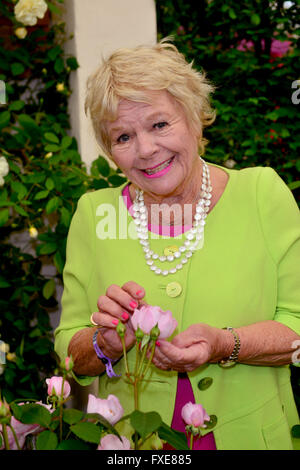 Judith Chalmers    at the 2015 RHS Chelsea Flower Show  at the Royal Hospital Chelsea in London Stock Photo